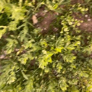 Meet your Posher, Kenny